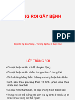 Trùng Roi