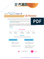 10 Sci Life Process Notes