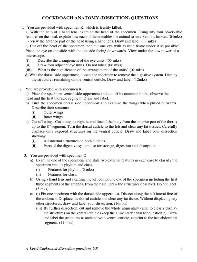 Cockroachdissectionquestions. PDF Anatomical Terms Of Location Abdomen