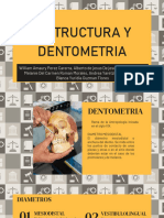 Estructura y Dentometria