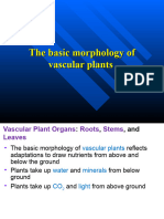 植物組織與細胞之觀察2023