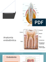 Periodoncia y Endodoncia