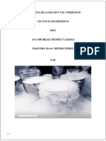 DIFERENCIA DE GASES OFN Y EL NITROGENO Tarea de Isaac Maestro