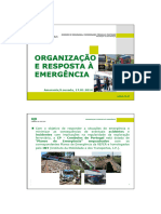 Organizacao e Resposta A Emergencia Na Ferrovia