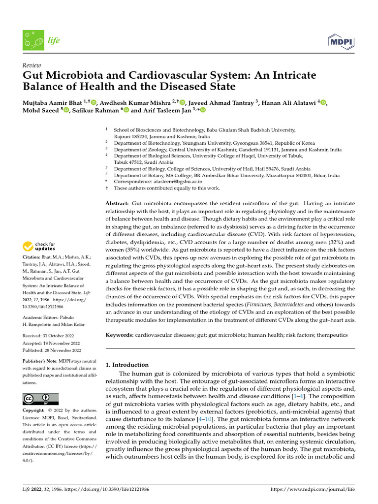 Gut Microbiota and Cardiovascular System: An Intricate Balance of ...