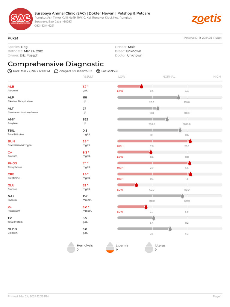 Comprehensive Diagnostic Profile and Hematology An Pukat DRH Yoseph ...