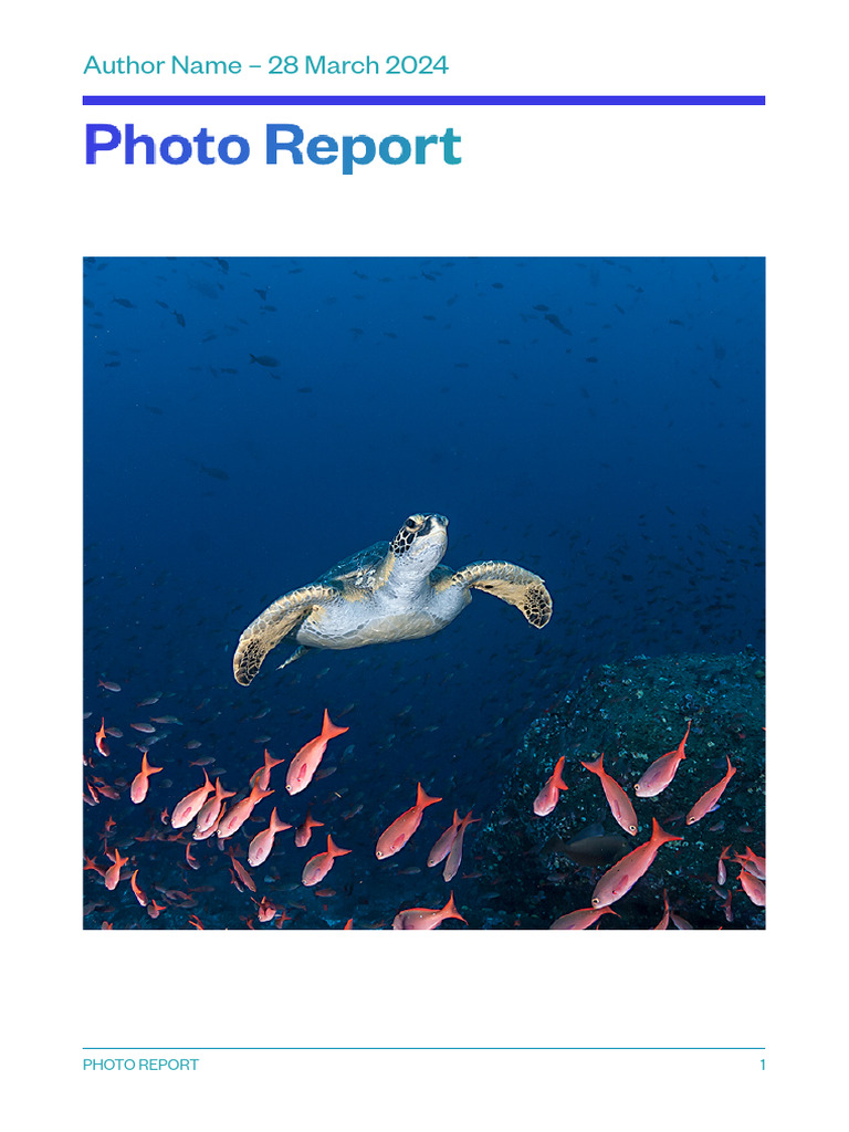 Photo Report Template Guide | PDF | Career & Growth | Art