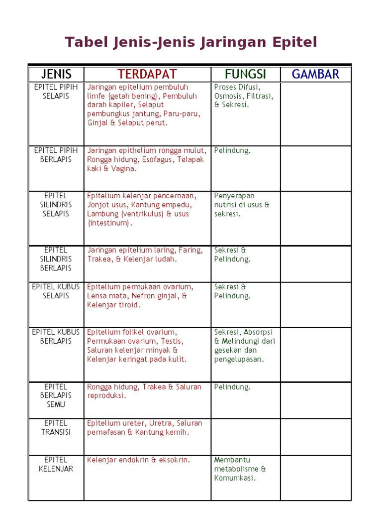 Tabel Jenis Epitel