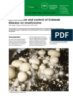 Identi Cation and Control of Cobweb Disease On Mushrooms