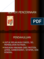 Sistem-Pencernaan DR - Taufiq