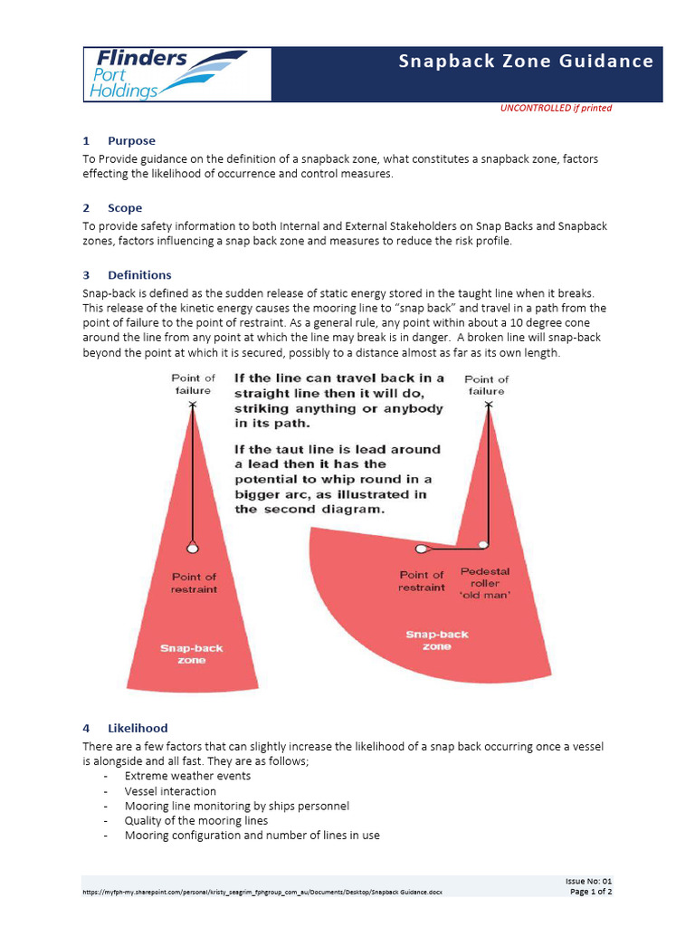 Snapback Guidance | Download Free PDF | Risk | Safety