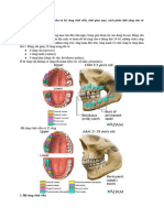 BT tự học RHM