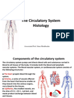 Body System II 4 Cardio 1