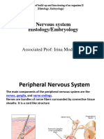 Body System II 2 Nerv 2