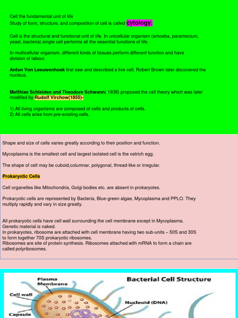 Understanding Cells: Prokaryotes vs Eukaryotes | PDF | Cell (Biology ...