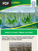Plant Tissue Culture Techniques Explained | PDF | Growth Medium | Nutrients