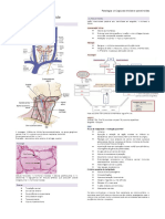 Patologia Cirúrgica Da Tiroide e Paratiroides M