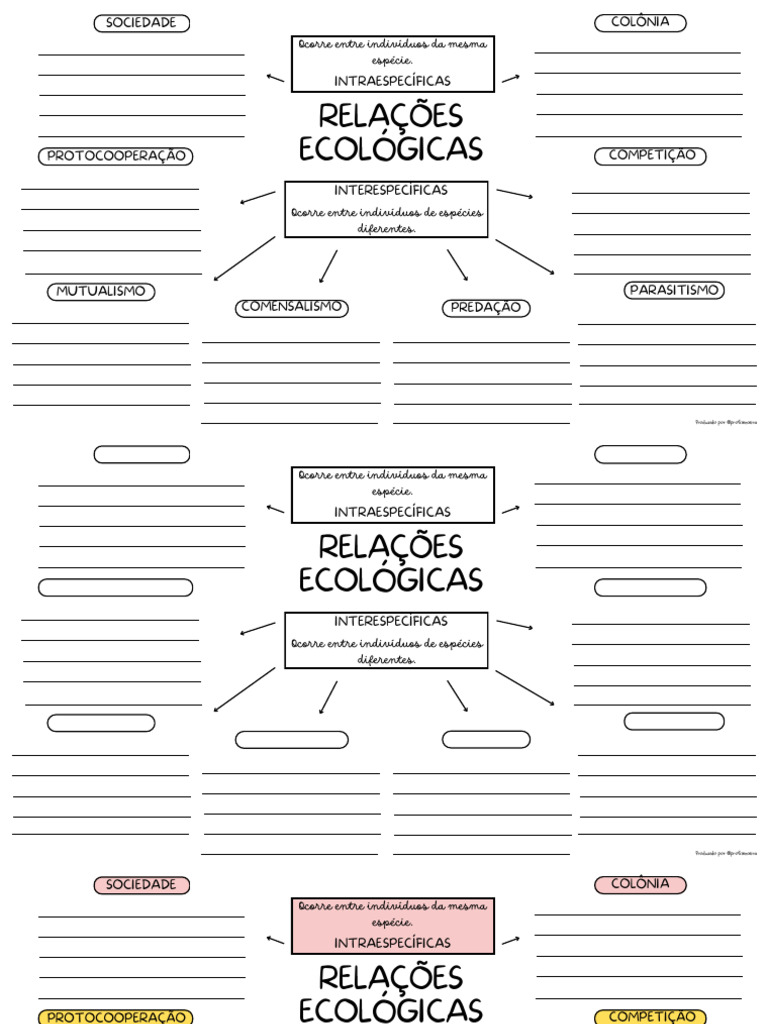 Mapa Mental Relações Ecológicas | PDF