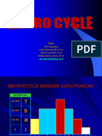 Siklus Mikro