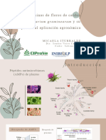 Estudio de Interacción de AMPs de Flores de Cardos Con Sistemas Modelo de Membranas