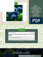 Dieta Enriquecida en Arándanos Protege Corazón de Rata de Isquemia