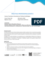 Práctica Profesionalizante I (Tupc) - Programa Académico 2024