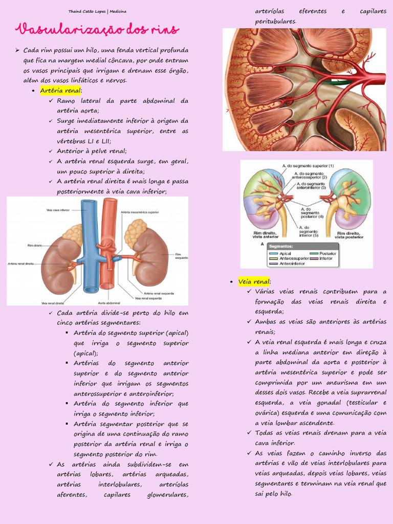 Vascularização dos Rins e Pulmões | PDF | Rim | Veia