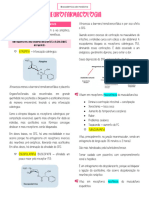 Neurofarmacologia 3.0 - Antagonistas Colinérgicos