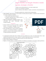 Instrumentos de Abordagem Familiar Na Atenção Primário À Saúde, Ecomapa e Practice