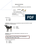 Simulado Adaptado 6º Ano