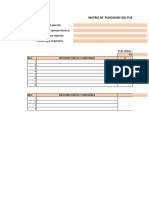 Formato Matriz Perfil de Puestos