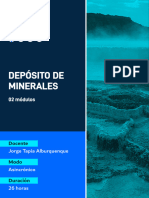 Op-Brochure Especialidad Depósito de Minerales-Brochure