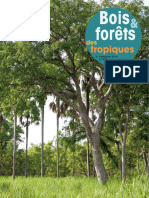 Bois Et Foret Des Tropiques