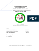 Anatomía y Funciones Del Sistema Respiratorio