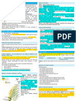 Resumo Plexo Lombosacral