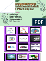 Actividad Loteria de Areas Biologicas