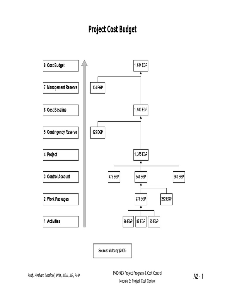 Project Cost Control Overview | PDF