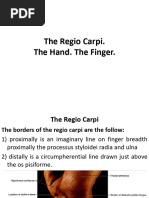 Kaplan's Cardinal Line in Hand Anatomy | PDF | Hand | Finger
