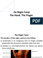 The Regio Carpi