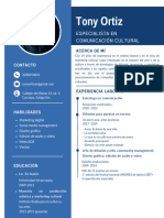 Currículum Vitae CV de Administración Simple Azul - 20240228 - 060753 - 0000