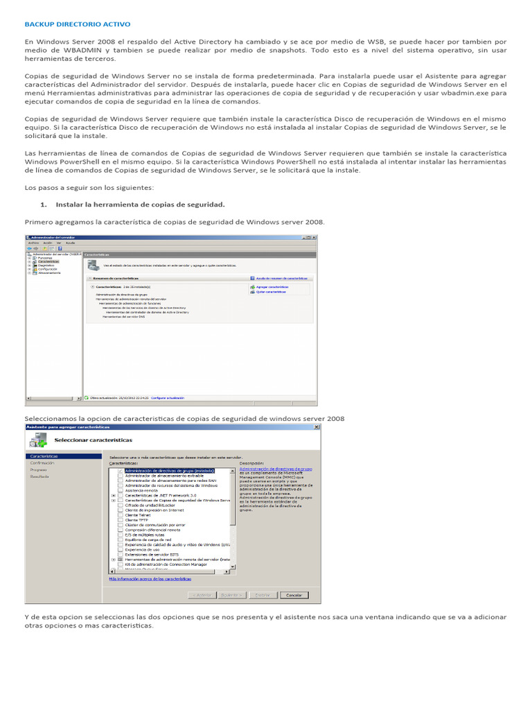 Backup Directorio Activo | PDF | Directorio Activo | Microsoft Windows