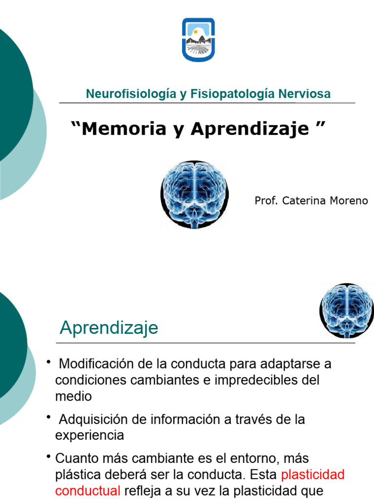 Memoria y Aprendizaje | PDF | Memoria | Amnesia