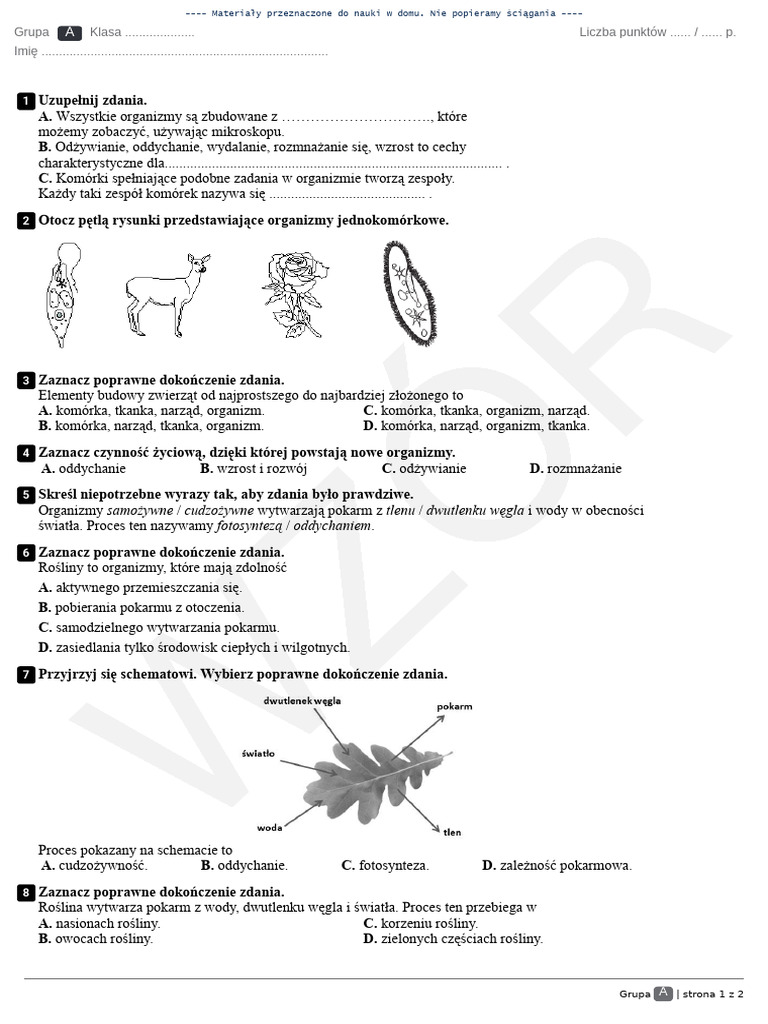 Test Z Przyrody Klasa 4 Tajemnice Przyrody - Klasa 4 - Dział 3 - Test#2 | PDF