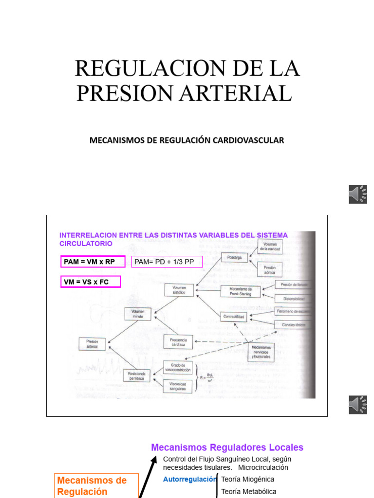 Mecanismos de Regulación de la Presión Arterial | PDF | Vasodilatación ...