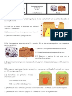 Ficha Formativa IV