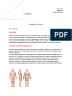 Clase 1 Anatomía