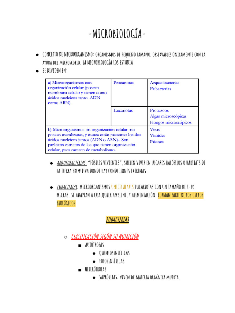 Clasificación y Estructura de Microorganismos | PDF | Virus | Las bacterias