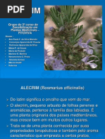 Apresentação do alecrim 2