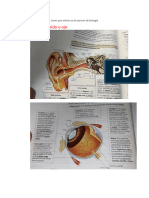 Cosas Que Entran en El Examen de Biologã - 1