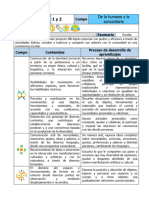 Fase Grado Campo Ejes Articuladores Proyecto Escenario: de Lo Humano y Lo Comunitario